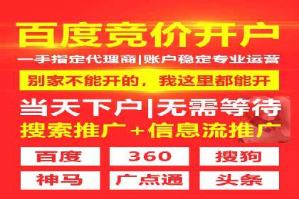 SEM代运营机构案例分析：优化策略与执行
