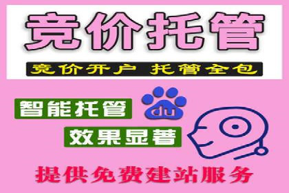 揭秘百度竞价代运营公司如何制定高效广告投放方案